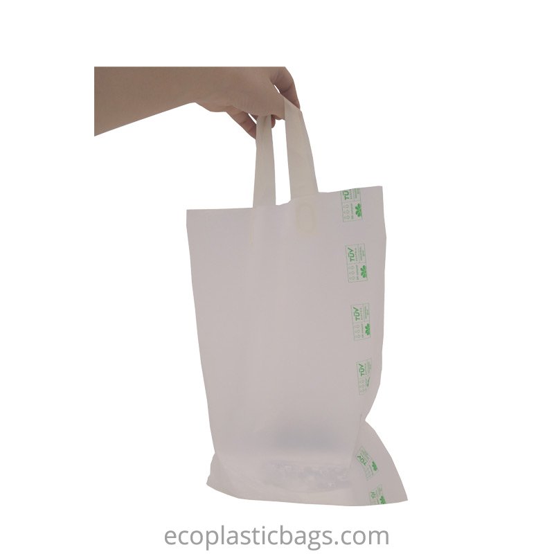 Are bioplastic bags a solution to single-use plastic pollution?